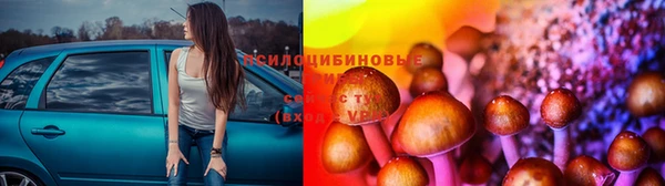 герыч Алексин