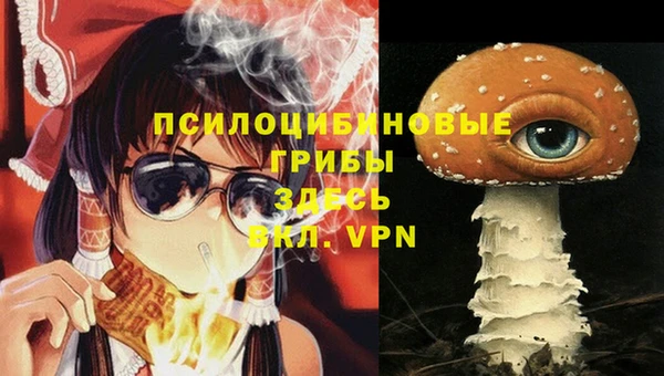 таблы Алзамай