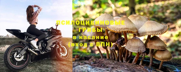 таблы Алзамай