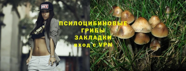 таблы Алзамай