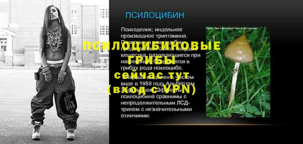 дмт Алексеевка