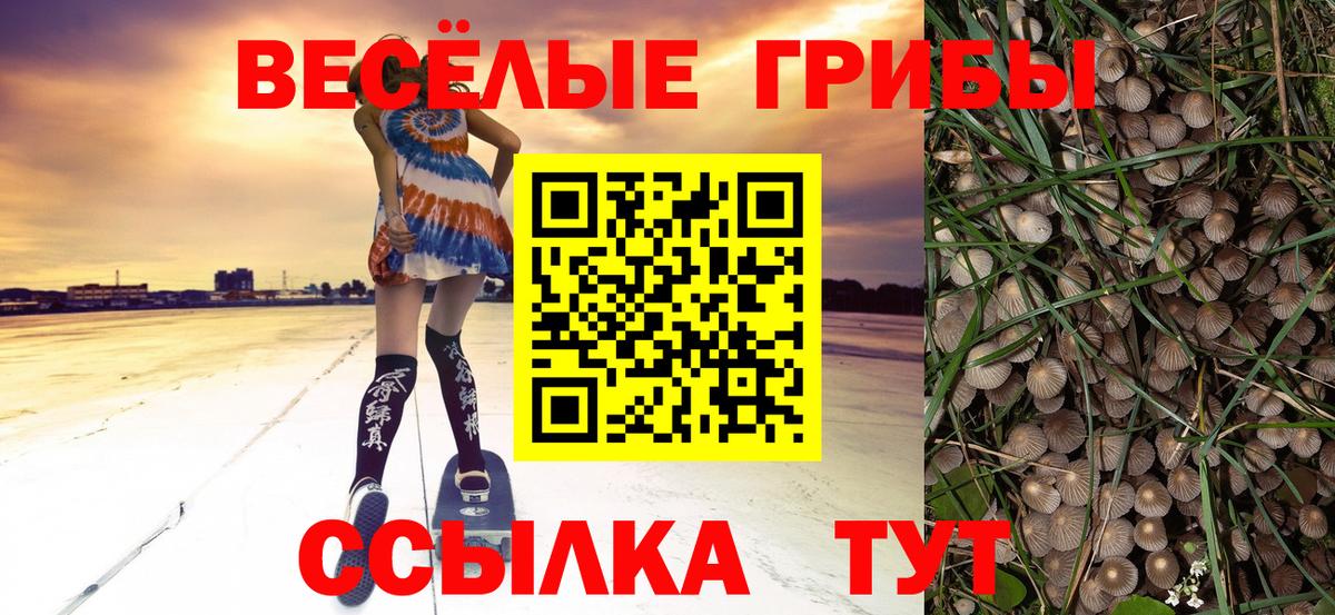 Галлюциногенные грибы MAGIC MUSHROOMS  даркнет сайт  Псилоцибиновые грибы Magic Shrooms  Тверь  Вход с VPN 