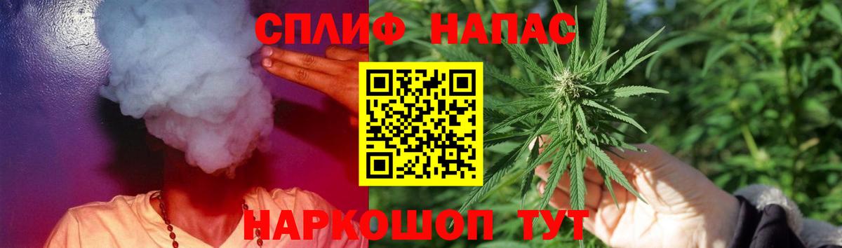 Марихуана сатива Тверь